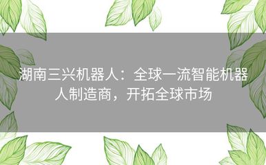 湖南三兴机器人 以全球一流技术领跑智能装卸新时代