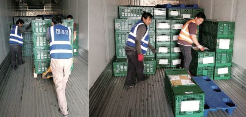 宜花的鲜花物流系统建设